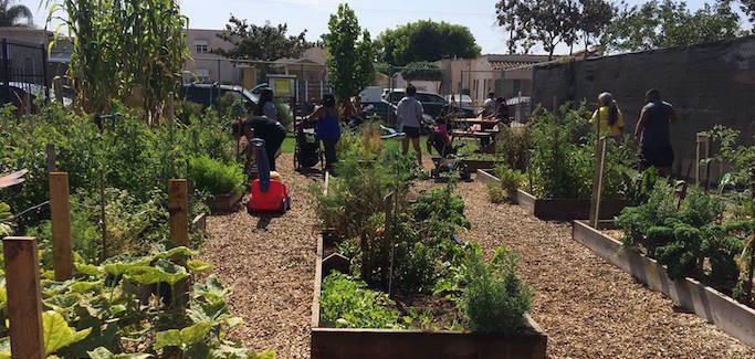 Building Communities through Gardening
